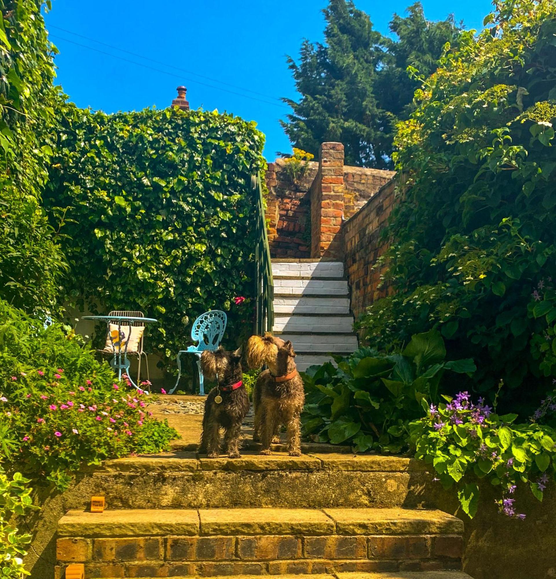 Gowland Cottage, Old Town, Scarborough Exteriér fotografie